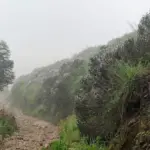 Mathikettan Shola National Park