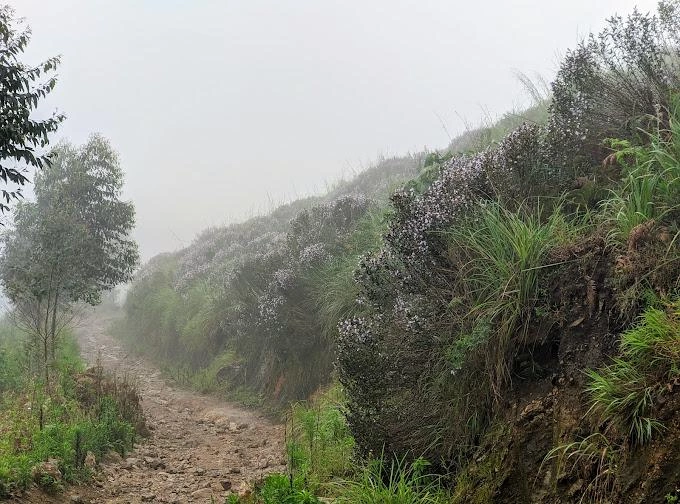 Mathikettan Shola National Park