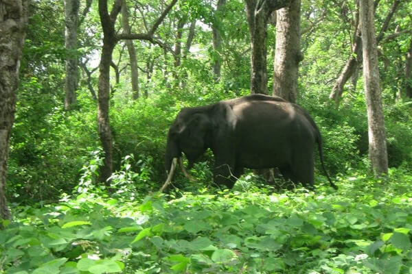 Mouling National Park - Image 2