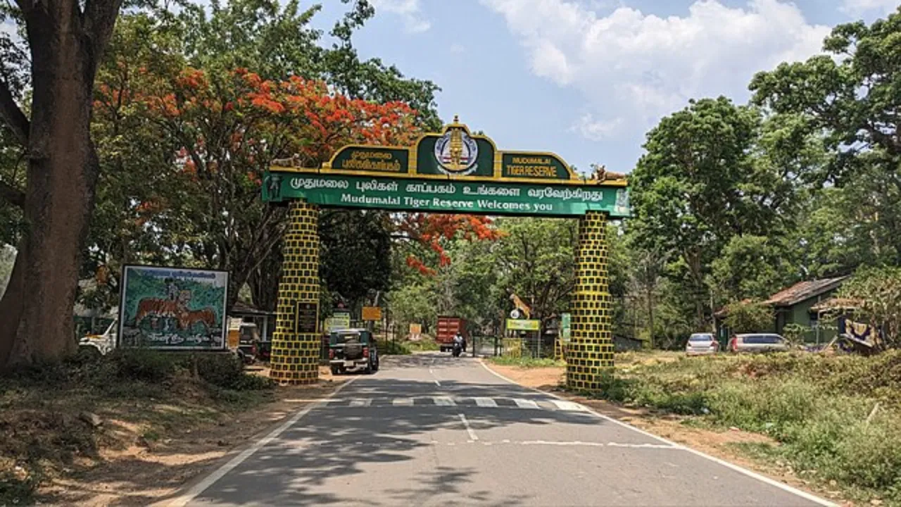 Mudumalai National Park