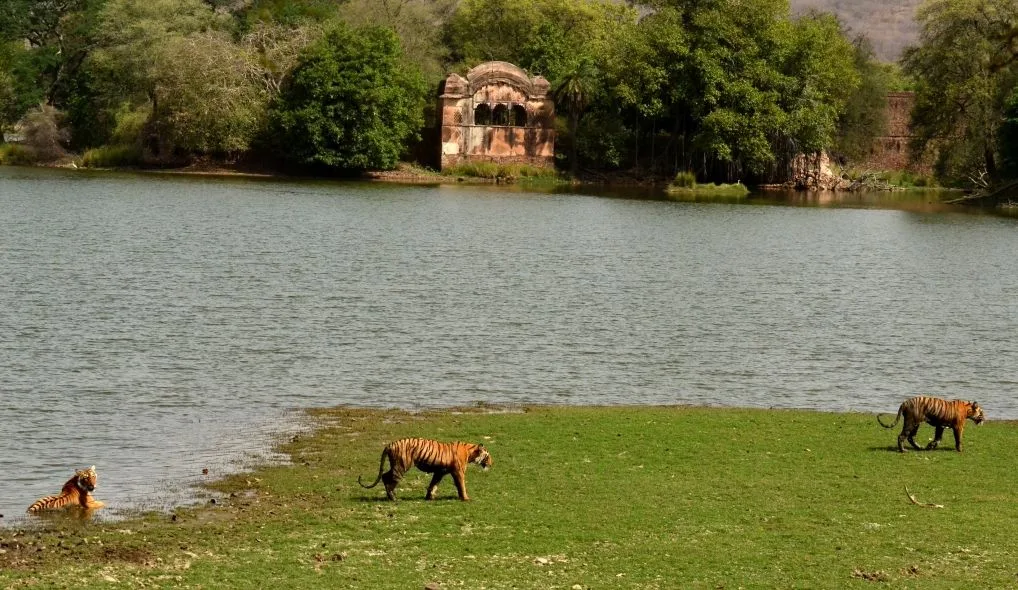 Mukundra Hills National Park - Image 3