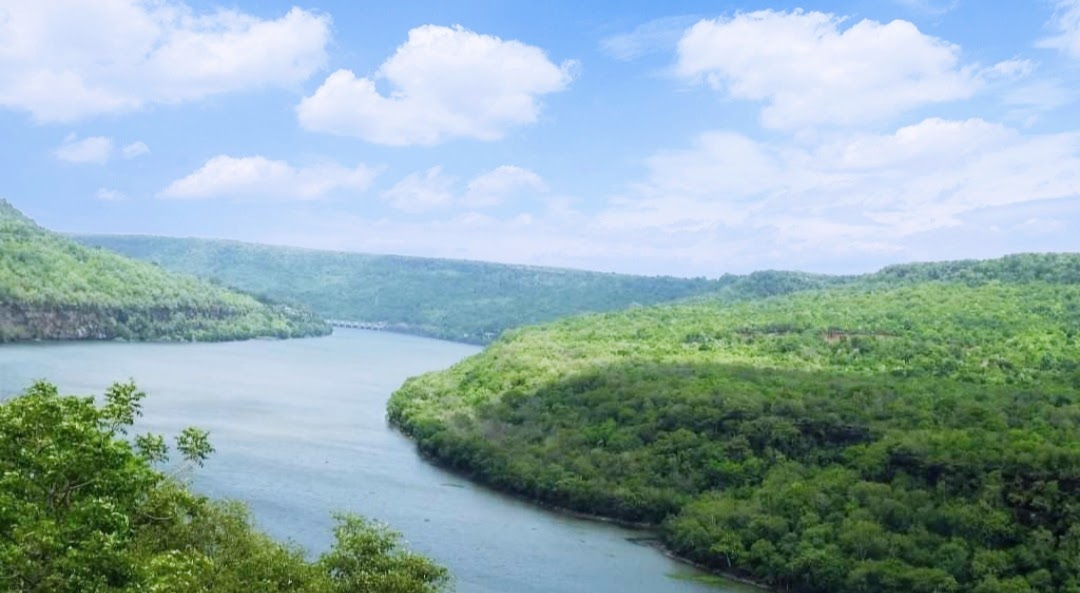 Mukundra Hills National Park - Image 5