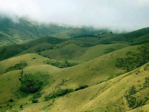 Mukurthi National Park Tamil Nadu