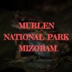 Murlen National Park