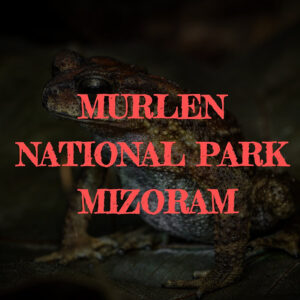 Murlen National Park