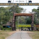 Nagarahole National Park