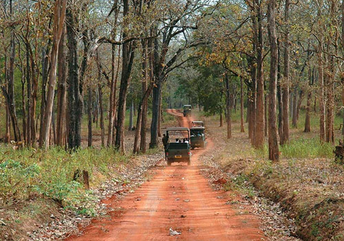 Nagarahole National Park - Image 5