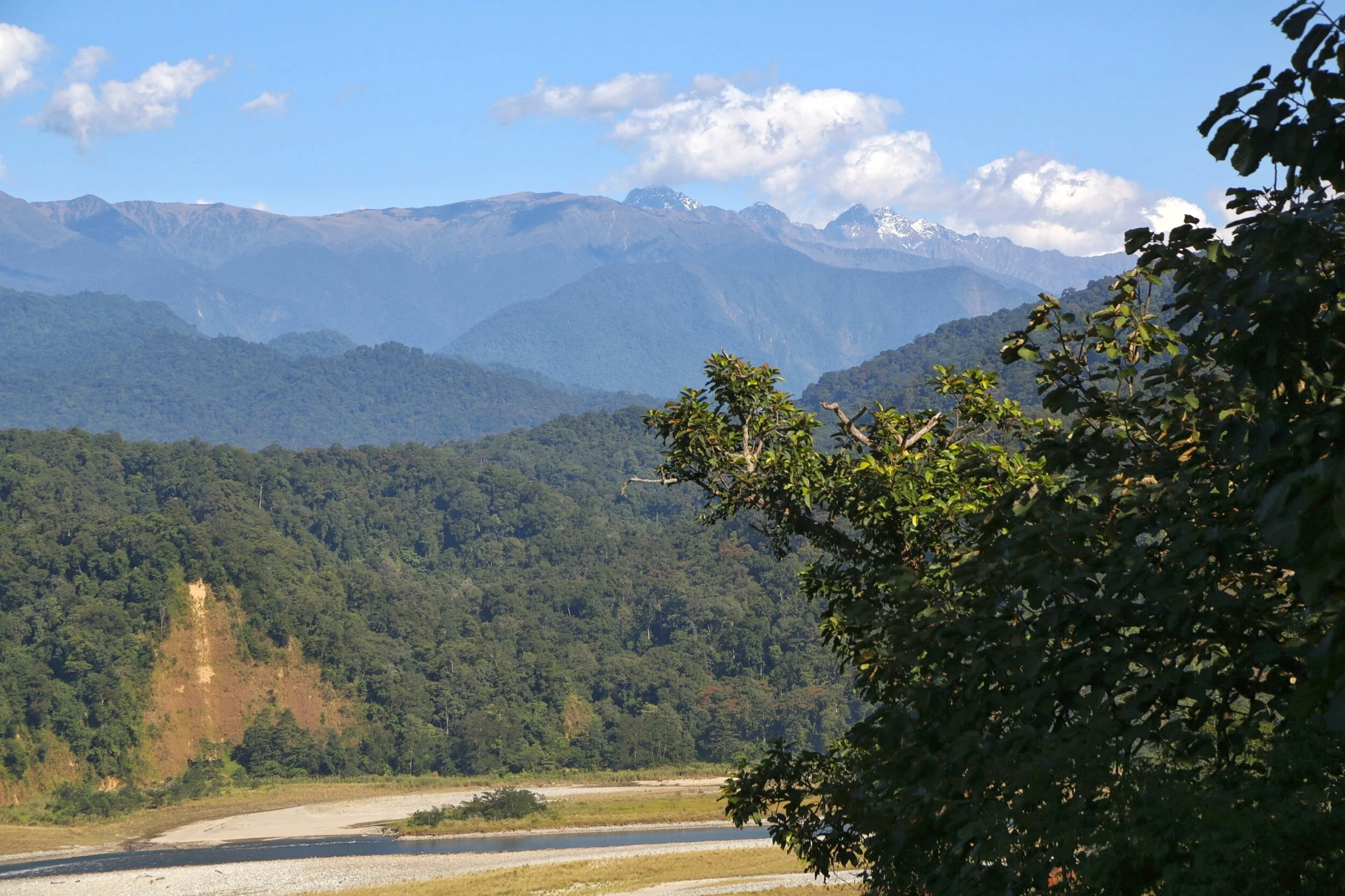 Namdapha National Park - Image 4