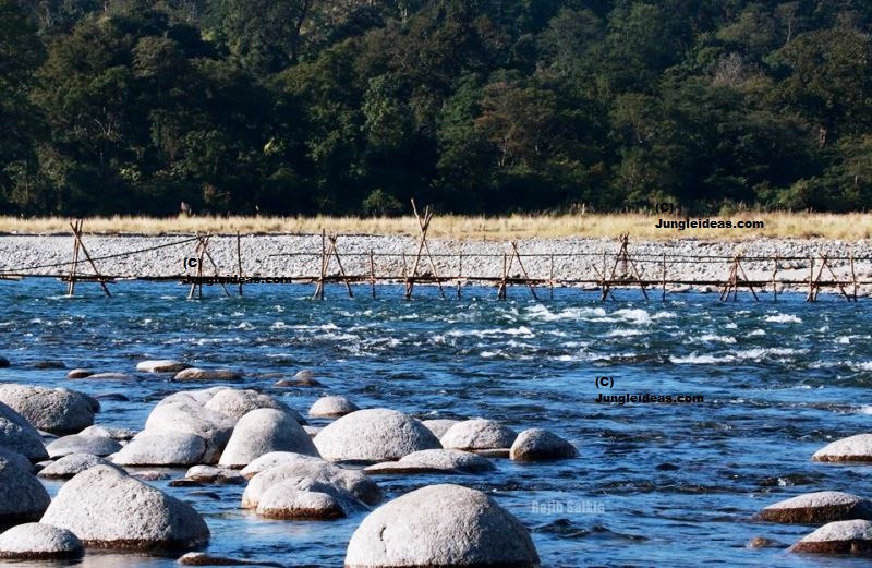 Namdapha National Park - Image 5