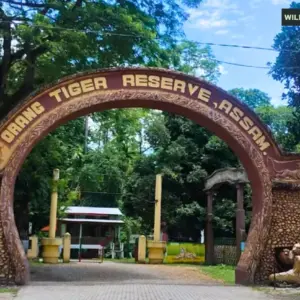 Orang National Park