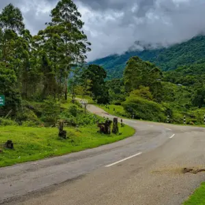Pampadum Shola National Park