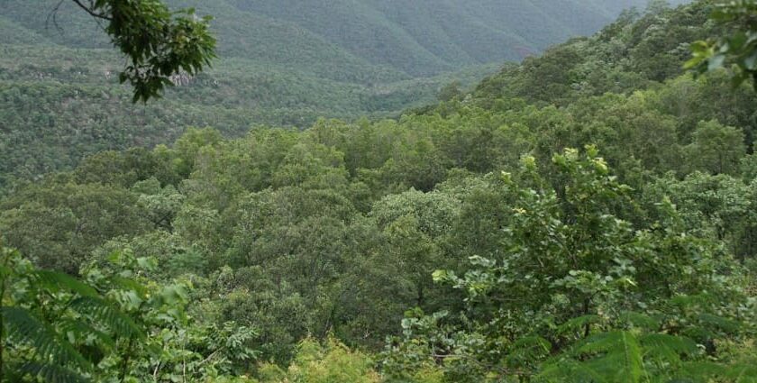 Papikonda National Park - Image 3