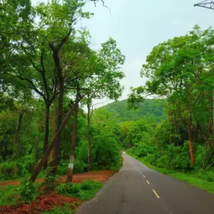 Papikonda National Park