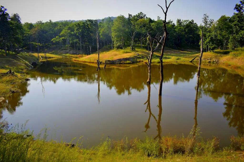 Pench National Park - Image 5