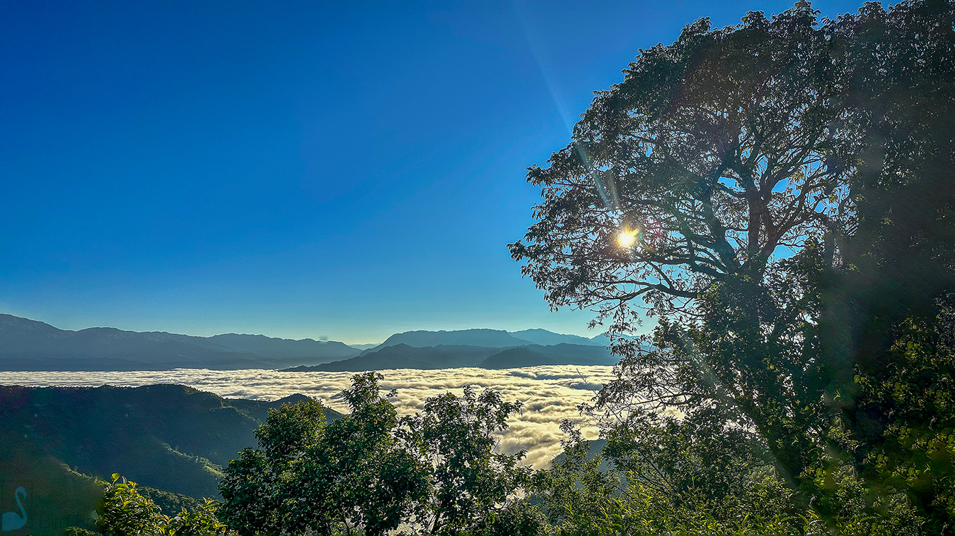 Phawngpui National Park - Image 3