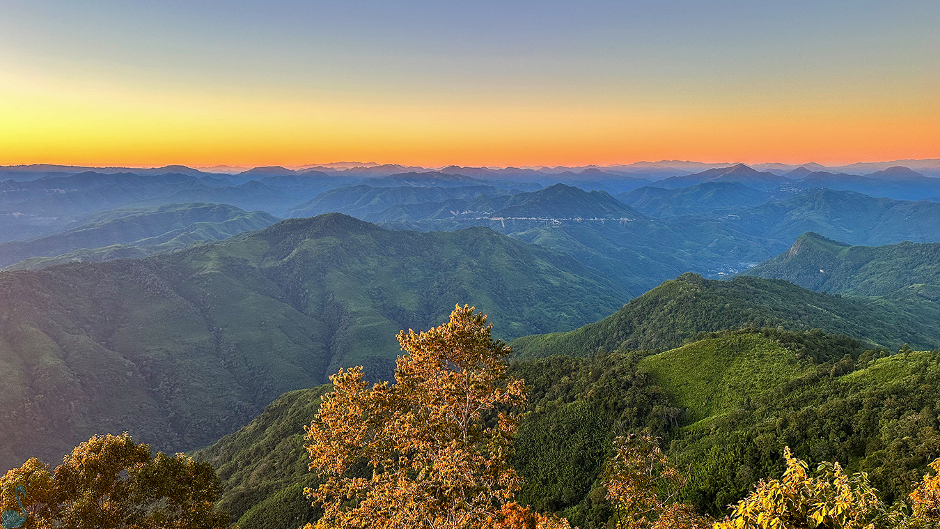 Phawngpui National Park - Image 5
