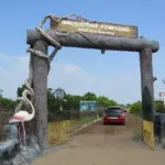 Point Calimere Wildlife and Bird Sanctuary Nagapattinam