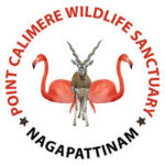 Point Calimere Wildlife and Bird Sanctuary in Kodiakarai (Nagapattinam)