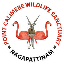 Point Calimere Wildlife and Bird Sanctuary in Kodiakarai (Nagapattinam)