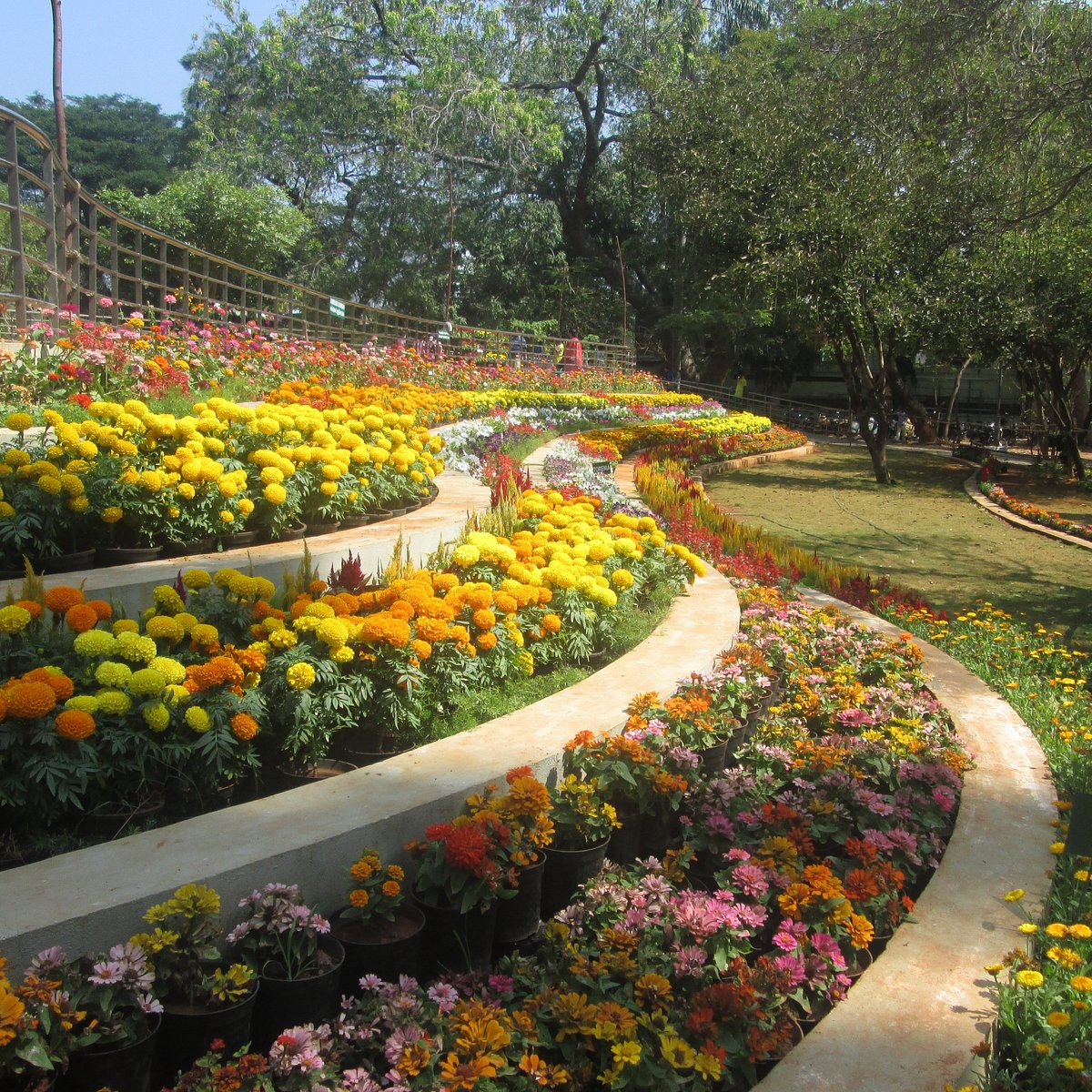 Pondicherry Zoo - Image 2