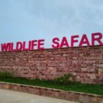 Rajgir Zoo