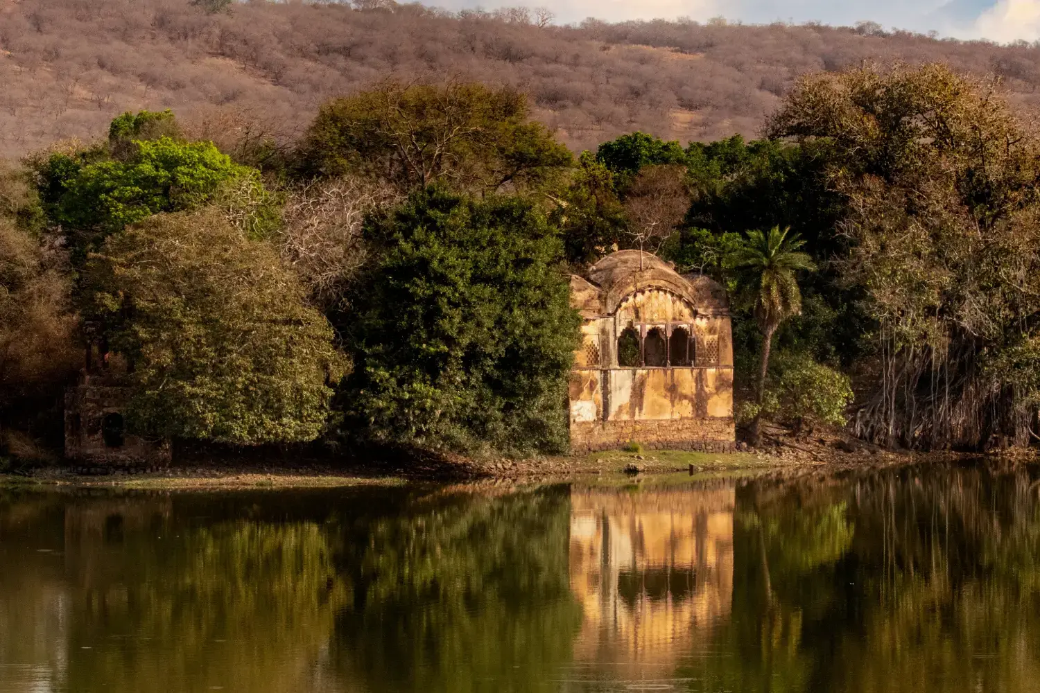 Ranthambore National Park - Image 3