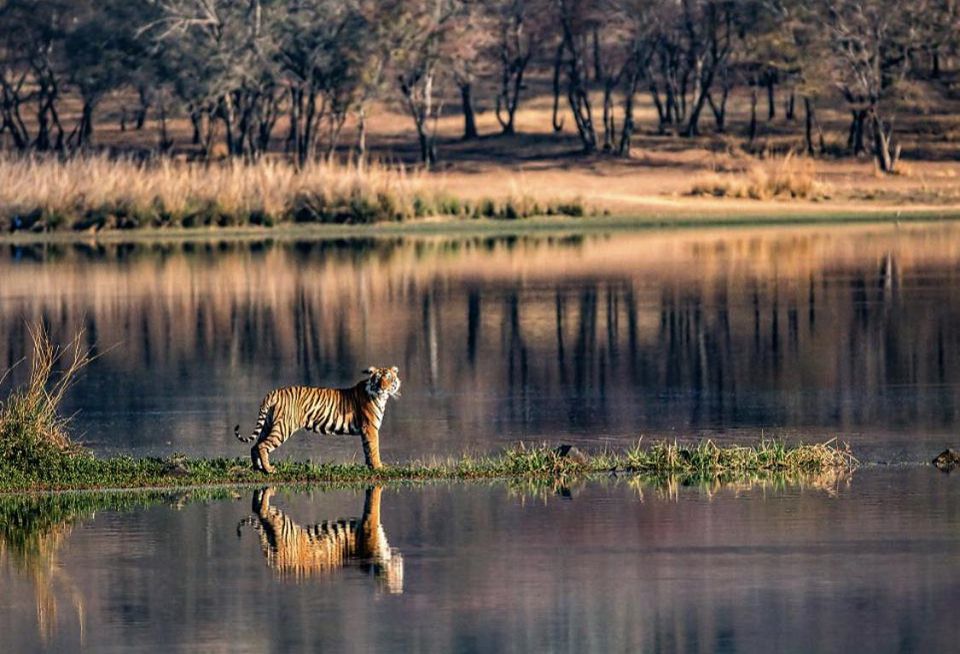 Ranthambore National Park - Image 5