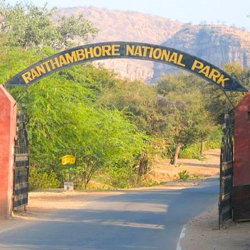 Ranthambore National Park