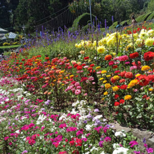 Rose Garden Kodaikanal