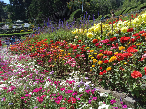 Rose Garden Kodaikanal