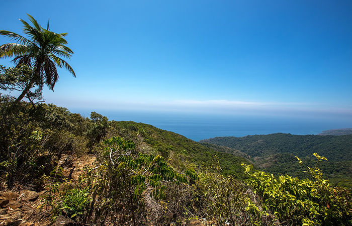 Saddle Peak National Park - Image 3
