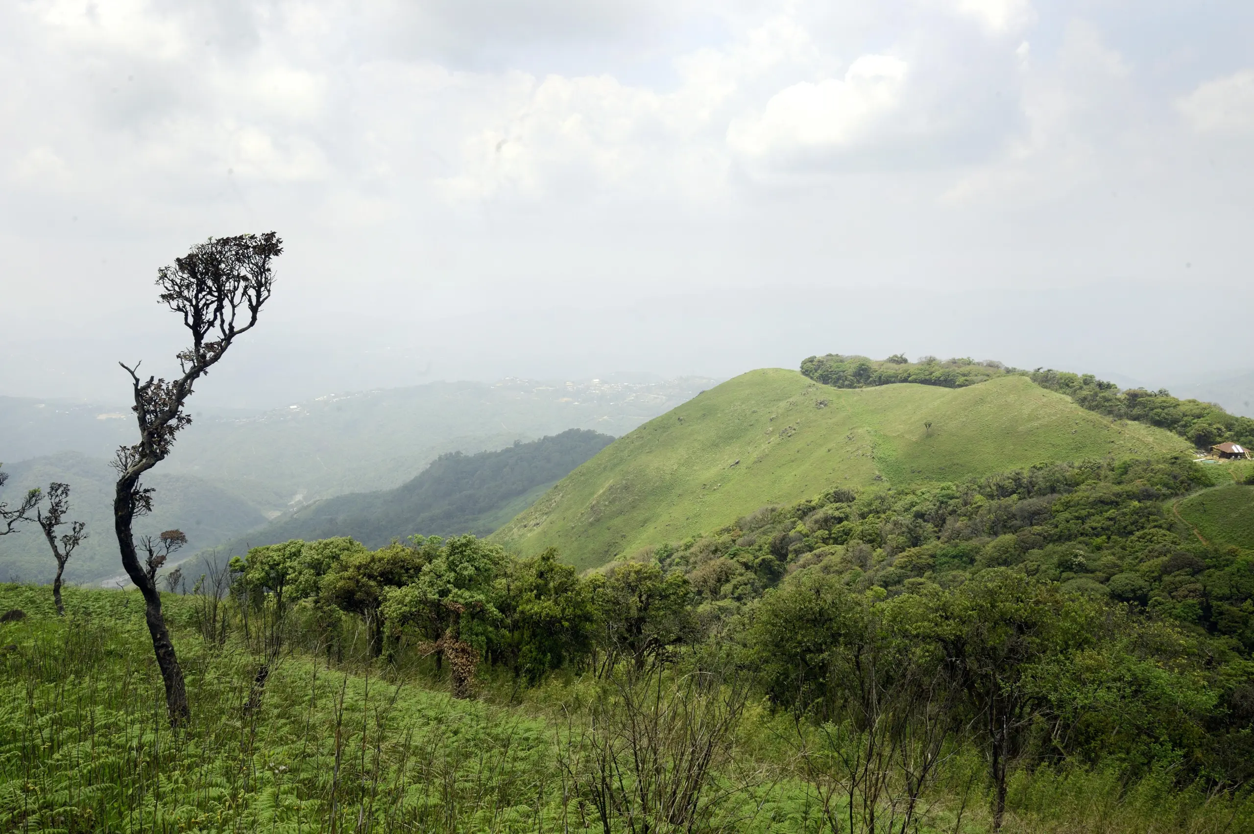 Shirui National Park - Image 2