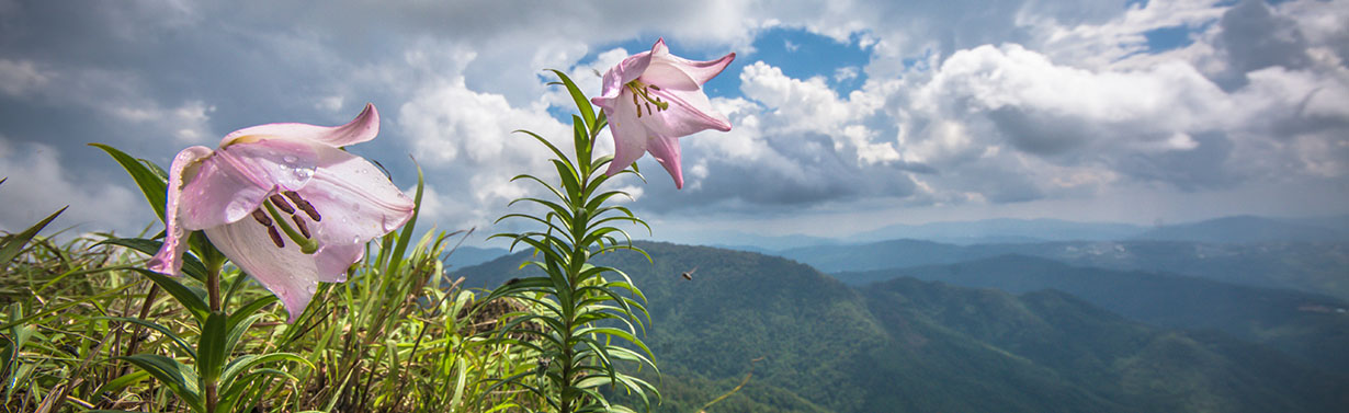 Shirui National Park - Image 3