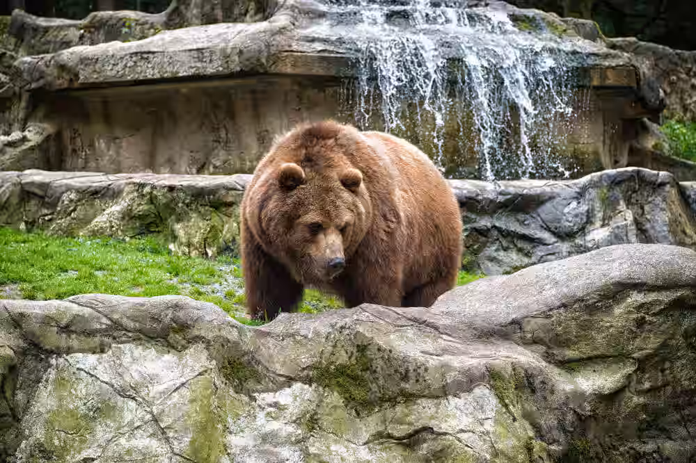 Shivaji Zoological Park - Image 5