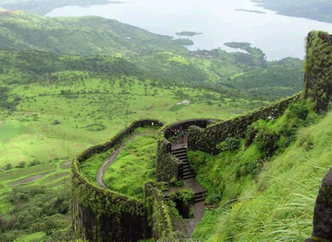 Silent Valley National Park - Image 3