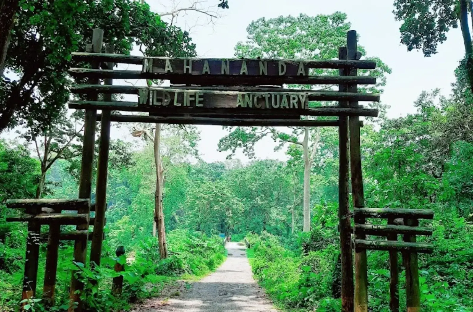 Siliguri Zoo (Mahananda Wildlife Sanctuary)