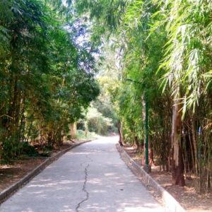 Surat Zoo (Sarthana Nature Park)