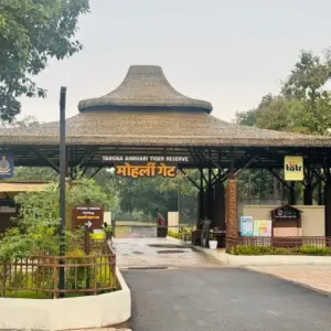 Tadoba National Park
