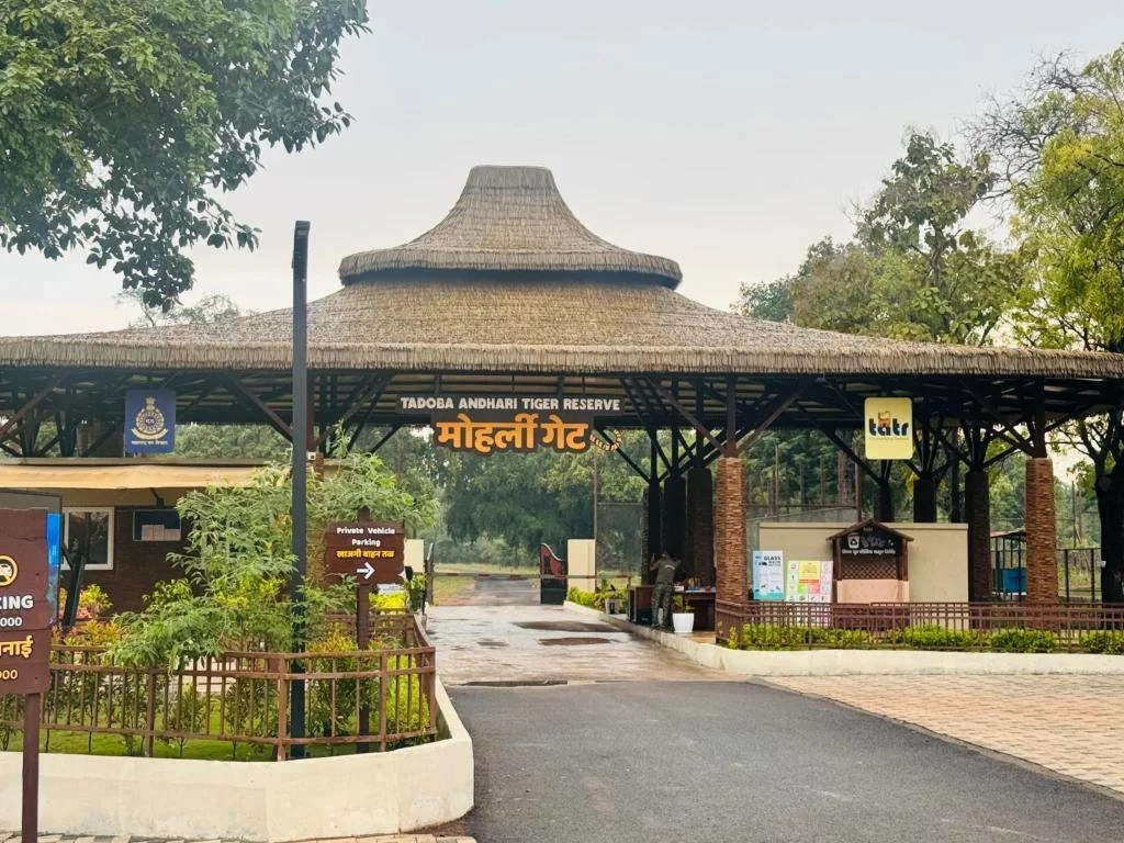 Tadoba National Park
