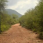 Vallanadu Wildlife Sanctuary
