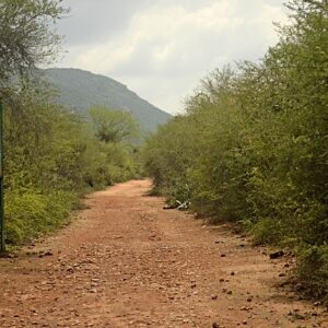 Vallanadu Wildlife Sanctuary