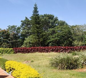 Yelagiri Nature Park
