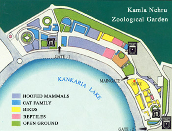 Indore Zoo (Kamla Nehru Zoo) Tour