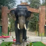 Nameri National Park