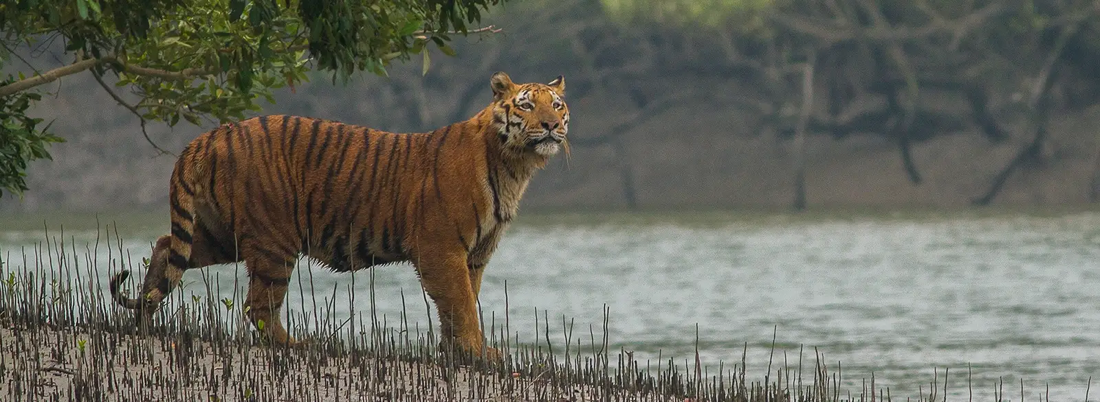 Nameri National Park - Image 3