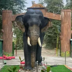 Nameri National Park