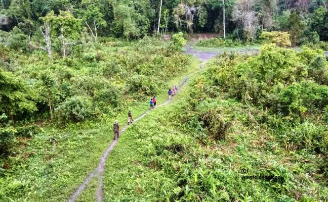 Nameri National Park - Image 5
