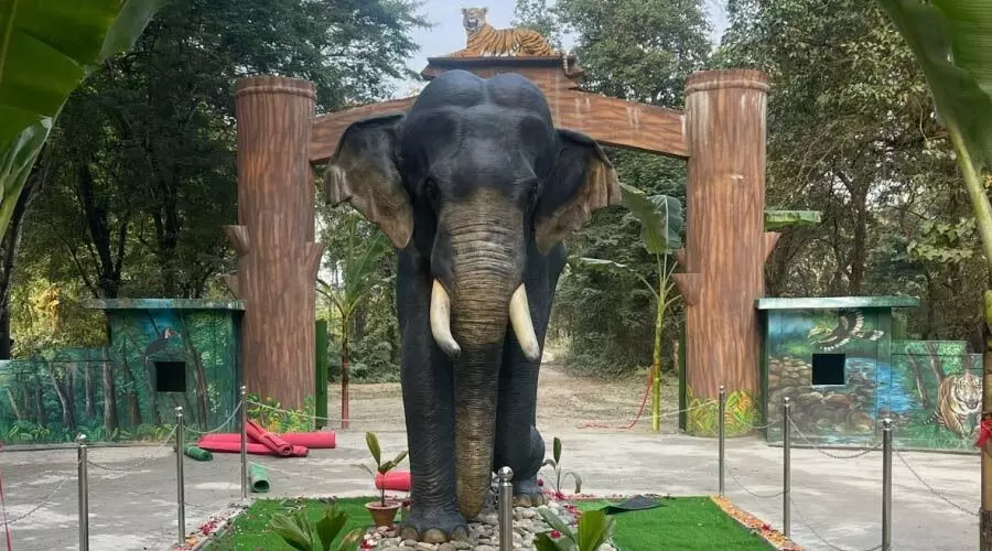 Nameri National Park